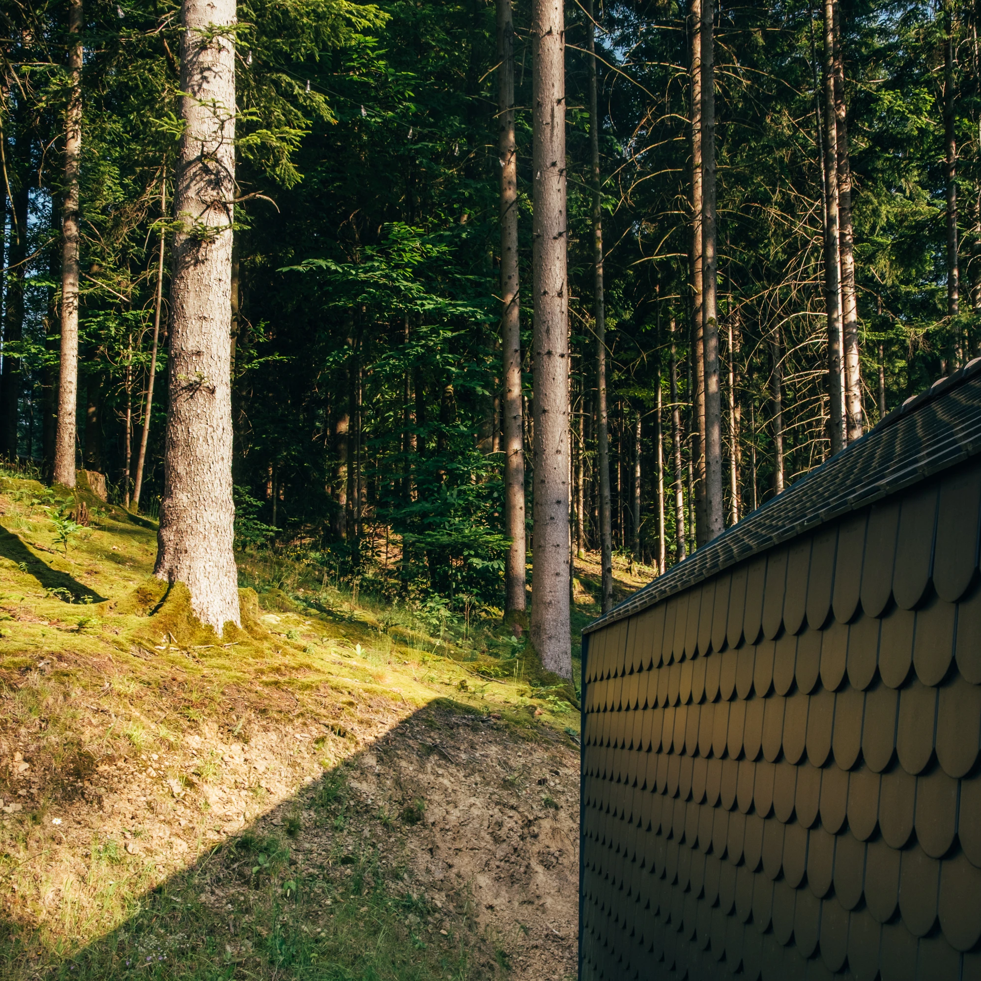 cozy homes around the world